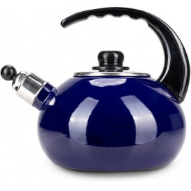 Чайник для плиты Boiling Water 2,5л blue Kamille DP262129