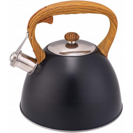 Чайник для плиты из нержавеющей стали 3л black Kamille DP262113