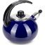 Чайник для плиты Boiling Water 2,5л blue Kamille DP262129 Ромны