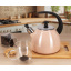 Чайник для плиты Boiling Water 2,5л pink Kamille DP262132 Днепрорудное