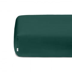 Семейный комплект на резинке COSAS DARK GREEN Ранфорс 2х160х220 см Зеленый Нежин