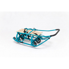 Санки-трансформер детские Патриот Изумруд Киев