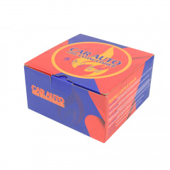 Автоматический огнетушитель Runtai Car Auto Fire RT-008 (304262) Балаклея