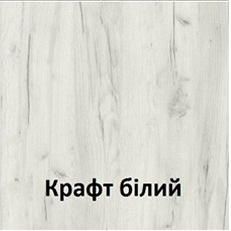 Стійка адміністратора Tobi Sho Ресепшн/5 центральна для офісу, салону, 1200х636х1090 Дуб крафт білий/Чорний Київ