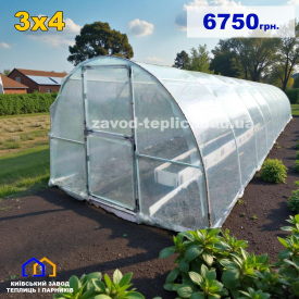 Теплица с пленкой 3х4