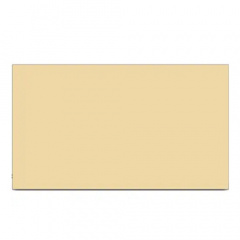 Керамічна електронагрівальна панель з терморегулятором Teploceramic TCM-RA1000 бежевий Ромны