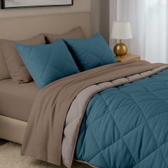 Покривало стьобане двостороннє COSAS TAUPE STONE 240x260 см Бежево-блакитний Київ