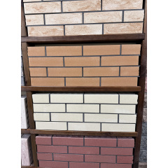 Цегла облицювальна пустотіла ECOBRICK колор мікс Куп'янськ