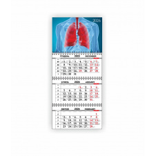 Календарь квартальный настенный Vivay 2026 Медицинский 30x65 см Разноцветный (hub_r22x4a)