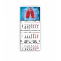 Календарь квартальный настенный Vivay 2026 Медицинский 30x65 см Разноцветный (hub_r22x4a) Киев