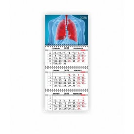 Календарь квартальный настенный Vivay 2026 Медицинский 30x65 см Разноцветный (hub_r22x4a)