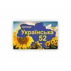 Табличка адресная Vivay 40x25 см Разноцветный (hub_qr2a0r)