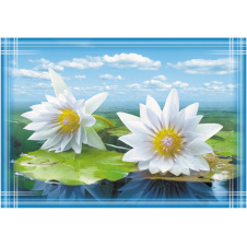 Фотообои No Brand Кувшинки 194х278