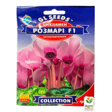 Цикламен Розмарі F1 ТМ GL Seeds 5шт