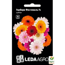 Гербера Фестиваль F1 смесь ТМ Leda Agro 4шт