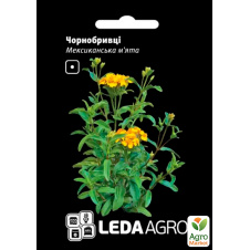 Чорнобривці Мексиканська м'ята ТМ Leda Agro 0,15г