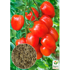 Томат Амулет ТМ Весна 0.2г