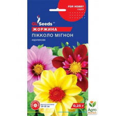Георгины Пикколо мигнон ТМ GL SEEDS 0.25г