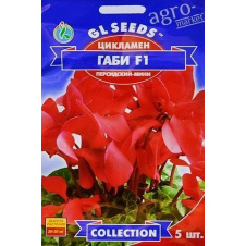 Цикламен Габі F1 ТМ GL Seeds 5шт