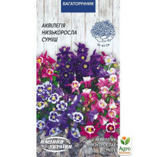 Аквілегія низькоросла суміш ТМ Насіння України 0.1г