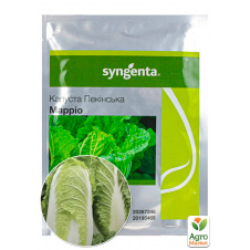 Капуста пекинская Марио F1 ТМ Syngenta 2500шт
