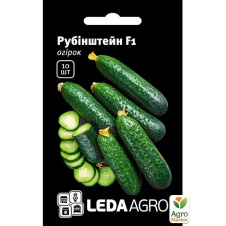 Огірок Рубінштейн F1 ТМ Leda Agro 10шт