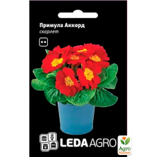Примула Аккорд скарлет ТМ Leda Agro 10шт
