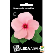 Барвінок Хетвейв Пінк ТМ Leda Agro 10шт