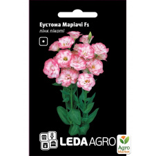 Эустома Мариачи F1, пинк пикоти ТМ Leda Agro 5шт