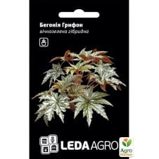 Бегония вечнозеленая Грифон ТМ Leda Agro 3шт