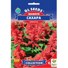 Сальвія Сахара ТМ GL SEEDS 0,2г