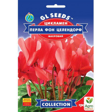 Цикламен Перла фон целендорф ТМ GL Seeds 5шт