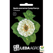 Цинія Сніговик ТМ Leda Agro 0,3г