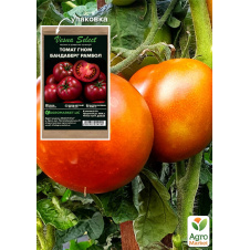 Томат гном Бандаберг Рамбол ТМ Vesna Select 0.1г