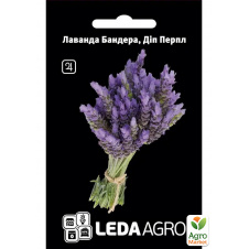 Лаванда Бандера Дип перпл ТМ Leda Agro 5шт