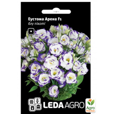 Эустома Арена F1, блу пикоти ТМ Leda Agro 5шт