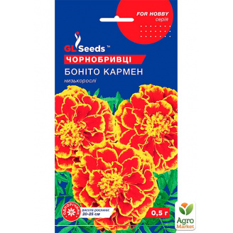 Бархатцы Бонито Кармен ТМ GL SEEDS 0.5г