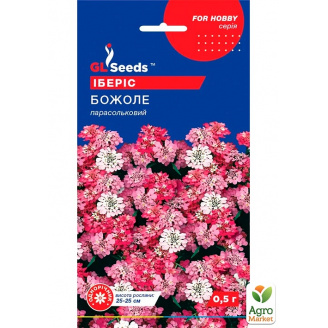 Иберис Божоле ТМ GL SEEDS 0.5г
