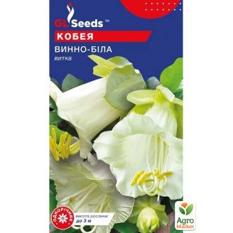 Кобея Винно-біла ТМ GL Seeds 4шт
