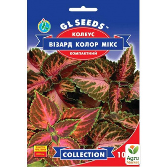 Колеус Візард колор мікс ТМ GL Seeds 10шт