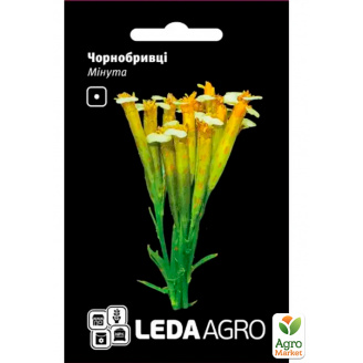 Бархатцы Минута ТМ Leda Agro 0,3г