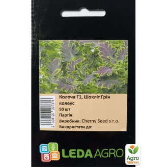 Колеус Колоча Шоклит грин ТМ Leda Agro 50шт
