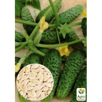 На развес Огурец Примус ТМ Весна цена за 2г