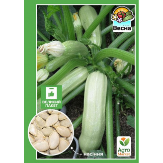 Кабачок Кустовой (Большой пакет) ТМ Весна 4г