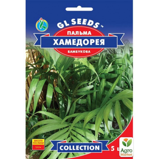 Пальма Хамедорея ТМ GL Seeds 5шт