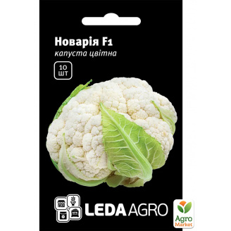 Капуста цветная Новария F1 ТМ Leda Agro 10шт