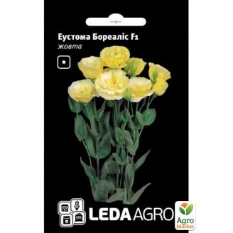 Эустома Бореалис F1, желтая ТМ Leda Agro 5шт