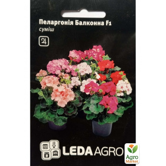 Пеларгония зональная Балконная F1 ТМ Leda Agro 5шт