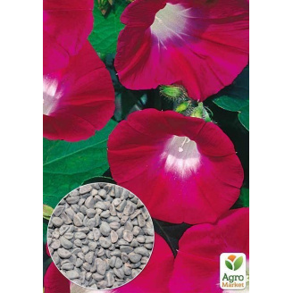 На развес Ипомея Скарлет О`Хара ТМ Весна цена за 2г