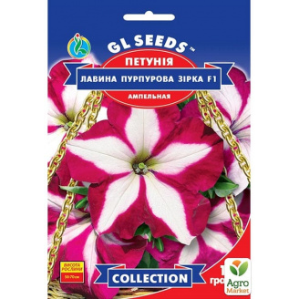 Петуния Лавина пурпурная звезда F1 ТМ GL SEEDS 10шт